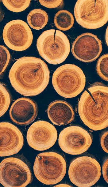 foto03-stacked-wood-logs-as-texture-2022-02-02-05-06-36-utc